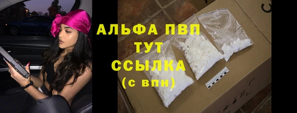 крисы Алзамай