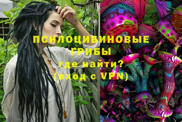 трава Армянск