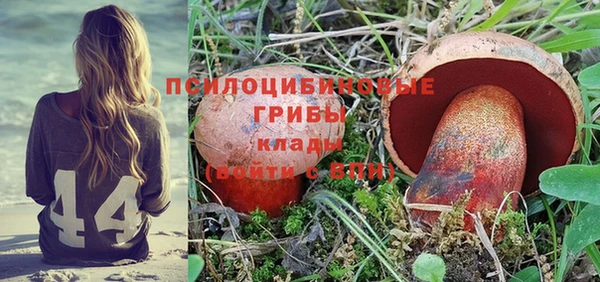 кокс Аркадак