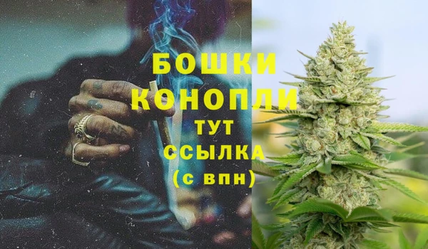 меф Пересвет