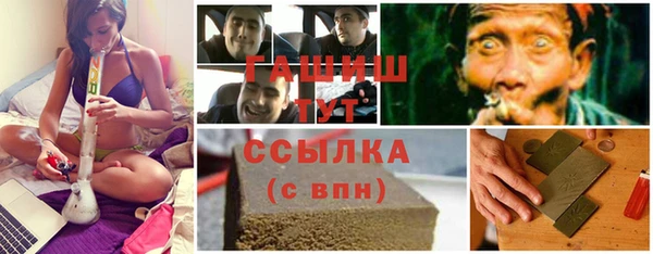 индика Переславль-Залесский